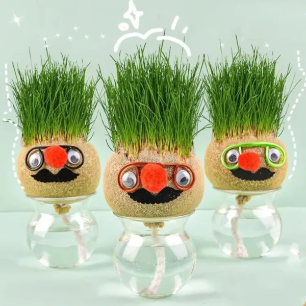 DIY Grass Head Dolls Growing Kit