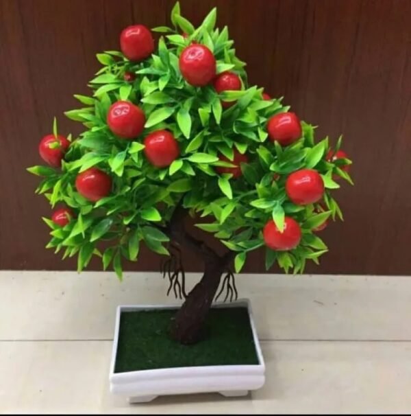 Beautiful Fruit Bonsai Tree - Image 2