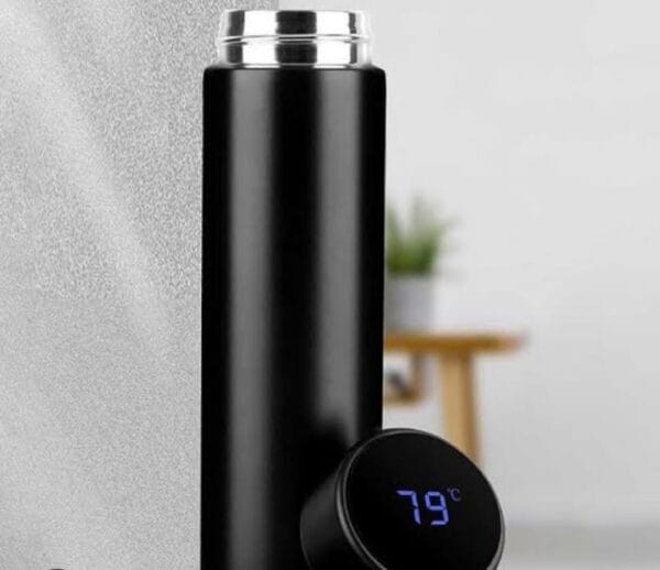 Temperature Display Insulated Flask Bottle