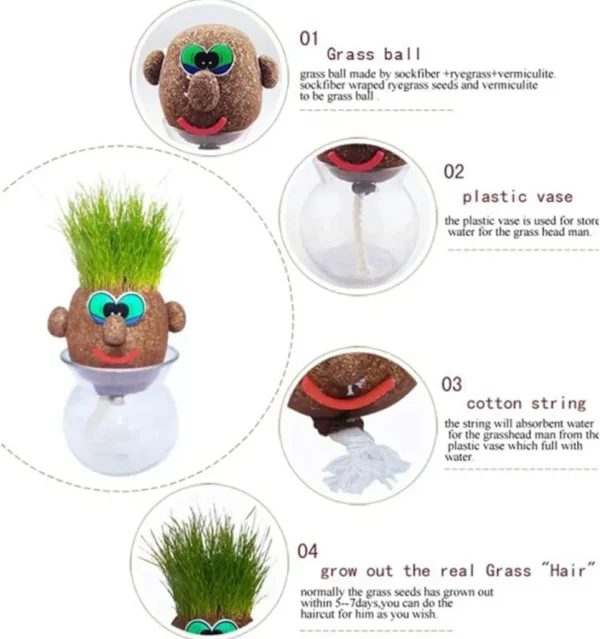 DIY Grass Head Dolls Growing Kit - Image 6